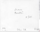 Historisches Foto (Rückseite) von Isopoda indet. (NHMW-AFW-GEO-BACHMAYER-FOTO-1990-0041-1414)